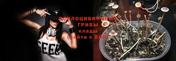 spice Балабаново