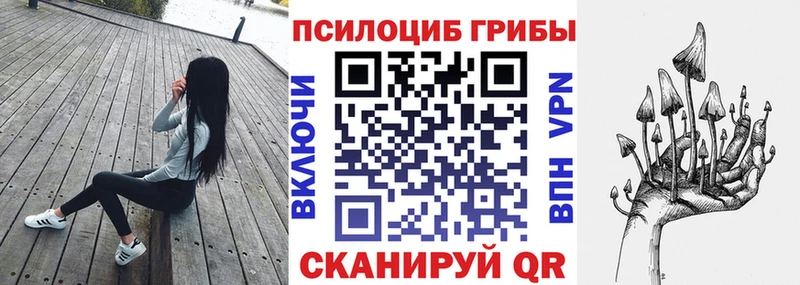 Галлюциногенные грибы Psilocybe  Реутов 
