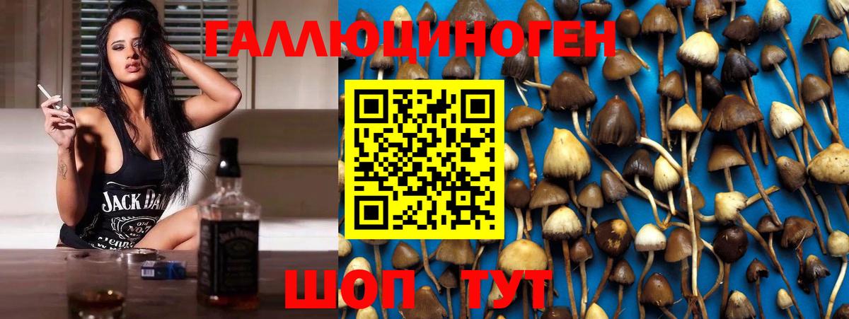 Реутов  Галлюциногенные грибы MAGIC MUSHROOMS  Вход с VPN 