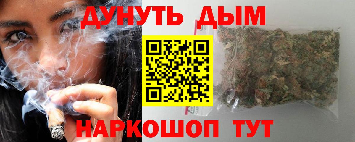 Канабис сатива Реутов